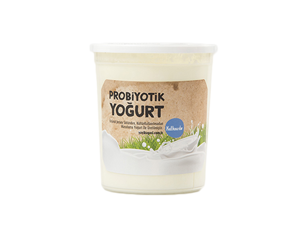 Jersey Ev Yoğurdu