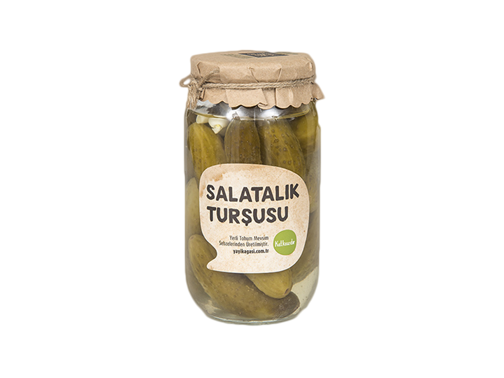 Salatalık Turşusu